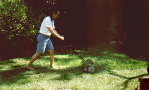 mowing the back 40